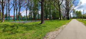 volejbol-s-dorogoj