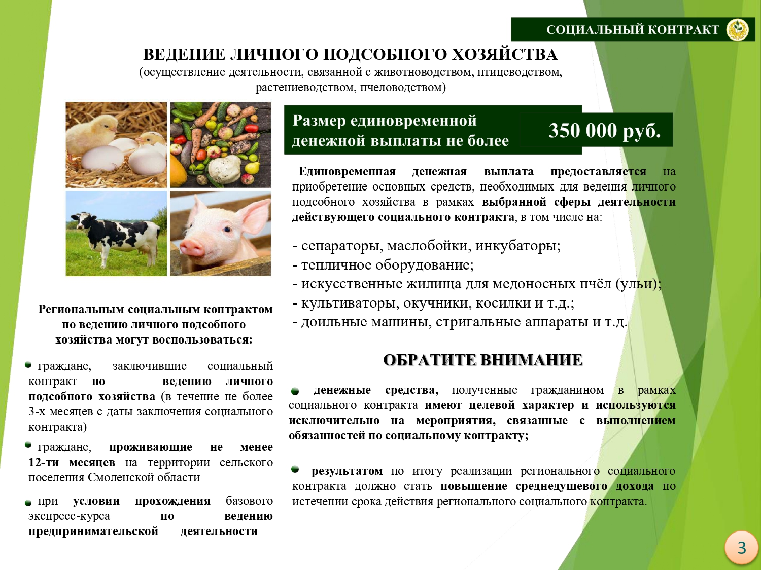 prezentaciya_osnovna10