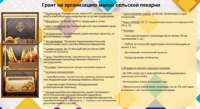 grant-na-organizaciyu-mal