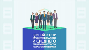 уважаемый субъект МСП - фото - 1