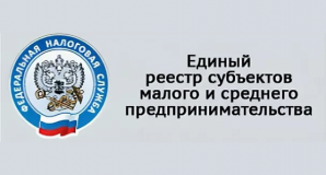 реестр МСП: что это такое, как в него попасть и почему это важно для бизнеса - фото - 1