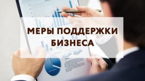 консультация для индивидуального предпринимателя - фото - 1