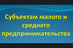 субъект малого и среднего предпринимательства исключен из реестра, что делать - фото - 1