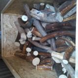 в Смоленской области вынесен приговор за покушение на контрабанду бивней мамонта - фото - 1