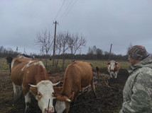 успехи программы «Первый старт» - фото - 2