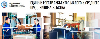 реестр МСП: что это такое, как в него попасть и почему это важно для бизнеса - фото - 1