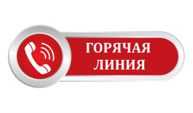 о проведении в период с 21 сентября 2026 по 02 октября 2026 Всероссийской «горячей линии» по вопросам профилактики гриппа и ОРВИ - фото - 1